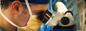 Procedures, Surgeries and Services